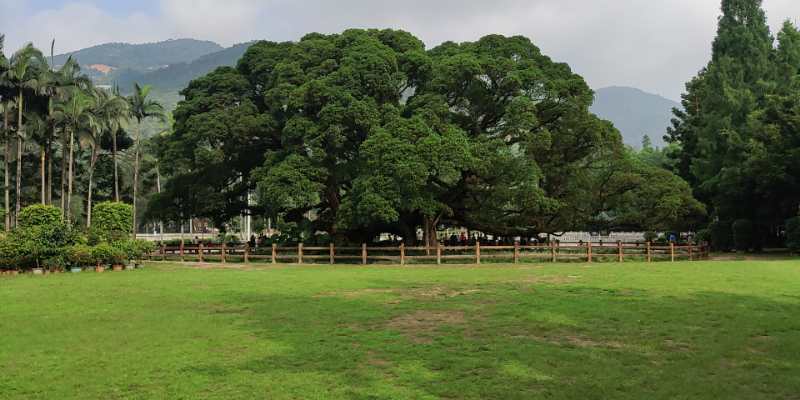 福州英諾科技全體員工于福州國(guó)家森林公園開(kāi)展團(tuán)建活動(dòng)